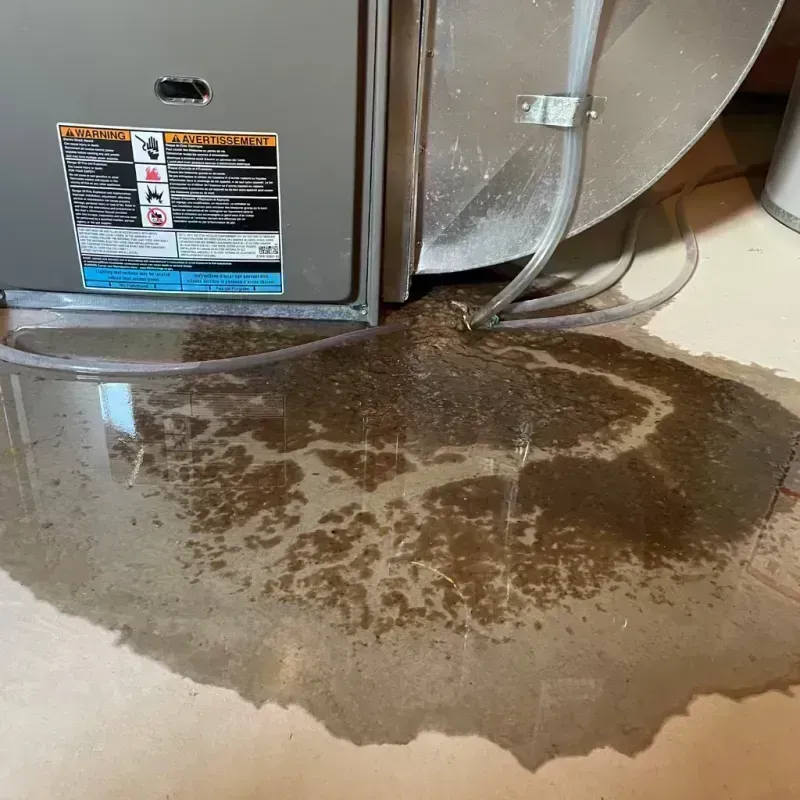 Appliance Leak Cleanup in Orchard Mesa, CO